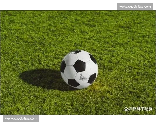 体育赛事高清免费观看平台推荐全程直播无广告畅享精彩瞬间